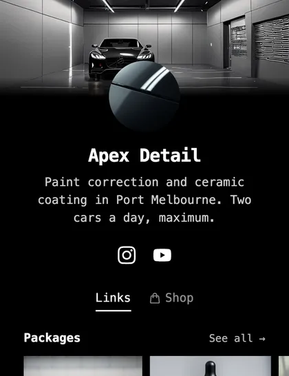 a car detailer in plain black and white — the Noir preset